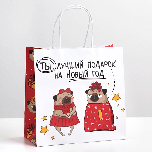 ДАРИТЕ СЧАСТЬЕ Пакет подарочный "Ты - лучший подарок", Пакет подарочный "Ты - лучший подарок"
ДАРИТЕ СЧАСТЬЕ Пакет подарочный "Ты - лучший подарок", Пакет подарочный "Ты - лучший подарок"