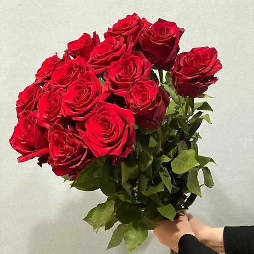 АЗАЛИЯ FLOWER PUB Роза красная Эквадор 70 сантиметров,15 штук, Роза красная Эквадор 70 сантиметров,15 штук
АЗАЛИЯ FLOWER PUB Роза красная Эквадор 70 сантиметров,15 штук, Роза красная Эквадор 70 сантиметров,15 штук