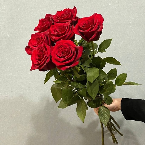 АЗАЛИЯ FLOWER PUB Роза красная Эквадор 70 сантиметров,7 штук, Роза красная Эквадор 70 сантиметров,7 штук
АЗАЛИЯ FLOWER PUB Роза красная Эквадор 70 сантиметров,7 штук, Роза красная Эквадор 70 сантиметров,7 штук