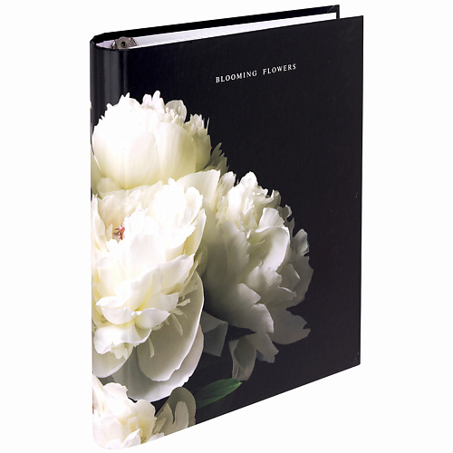 BRAUBERG Тетрадь на кольцах 120 листов Пион, Тетрадь на кольцах 120 листов Пион
BRAUBERG Тетрадь на кольцах 120 листов Пион, Тетрадь на кольцах 120 листов Пион