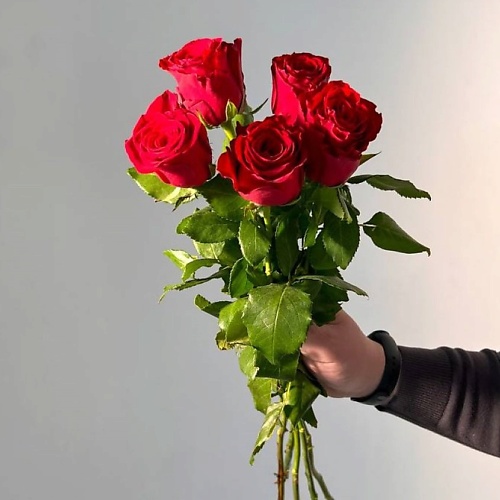 ЦВЕТЫ ДЛЯ ВАС Букет из 5 красных роз (Кения) 15 см 50 см, Букет из 5 красных роз (Кения) 15 см 50 см
ЦВЕТЫ ДЛЯ ВАС Букет из 5 красных роз (Кения) 15 см 50 см, Букет из 5 красных роз (Кения) 15 см 50 см