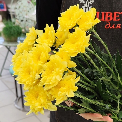 ЦВЕТЫ ДЛЯ ВАС Букет из 3 кустовых хризантем желтых, Букет из 3 кустовых хризантем желтых
ЦВЕТЫ ДЛЯ ВАС Букет из 3 кустовых хризантем желтых, Букет из 3 кустовых хризантем желтых