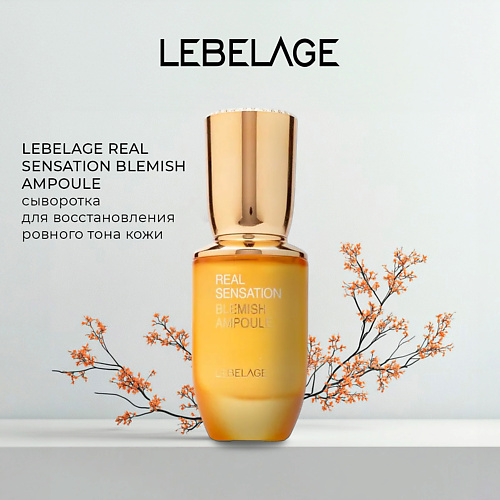 LEBELAGE Сыворотка против пигментных пятен REAL SENSATION BLEMISH AMPOULE 30.0, Сыворотка против пигментных пятен REAL SENSATION BLEMISH AMPOULE
LEBELAGE Сыворотка против пигментных пятен REAL SENSATION BLEMISH AMPOULE 30.0, Сыворотка против пигментных пятен REAL SENSATION BLEMISH AMPOULE