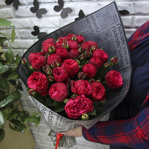 FLORPRO 25 пионовидных роз Ред Пиано в дизайнерской упаковке, 25 пионовидных роз Ред Пиано в дизайнерской упаковке
FLORPRO 25 пионовидных роз Ред Пиано в дизайнерской упаковке, 25 пионовидных роз Ред Пиано в дизайнерской упаковке