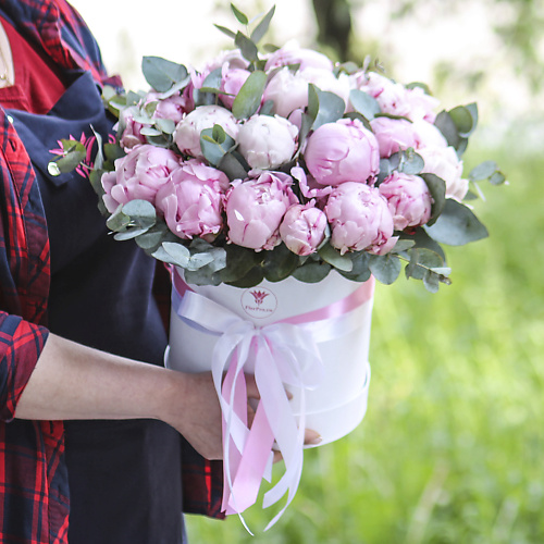 FLORPRO 25 пионов Сара Бернар с эвкалиптом в коробке, 25 пионов Сара Бернар с эвкалиптом в коробке
FLORPRO 25 пионов Сара Бернар с эвкалиптом в коробке, 25 пионов Сара Бернар с эвкалиптом в коробке