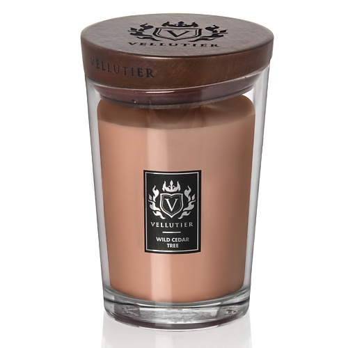 VELLUTIER Свеча Дикий кедр Wild Cedar Tree 515.0, Свеча Дикий кедр Wild Cedar Tree
VELLUTIER Свеча Дикий кедр Wild Cedar Tree 515.0, Свеча Дикий кедр Wild Cedar Tree