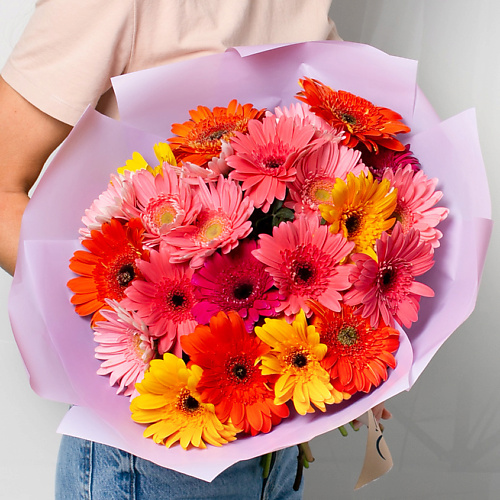 ЛЭТУАЛЬ FLOWERS Букет из разноцветных Гермини 35 шт., Букет из разноцветных Гермини 35 шт.
ЛЭТУАЛЬ FLOWERS Букет из разноцветных Гермини 35 шт., Букет из разноцветных Гермини 35 шт.