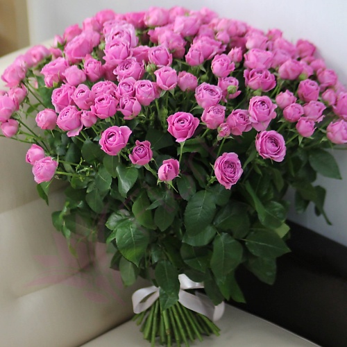 FLORPRO 51 пионовидная кустовая роза Мисти Баблс, 51 пионовидная кустовая роза Мисти Баблс
FLORPRO 51 пионовидная кустовая роза Мисти Баблс, 51 пионовидная кустовая роза Мисти Баблс