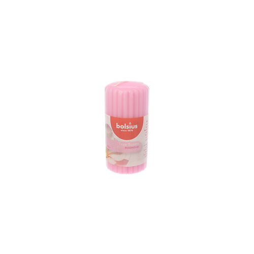 BOLSIUS Свеча столбик арома True scents магнолия 250, Свеча столбик арома True scents магнолия
BOLSIUS Свеча столбик арома True scents магнолия 250, Свеча столбик арома True scents магнолия