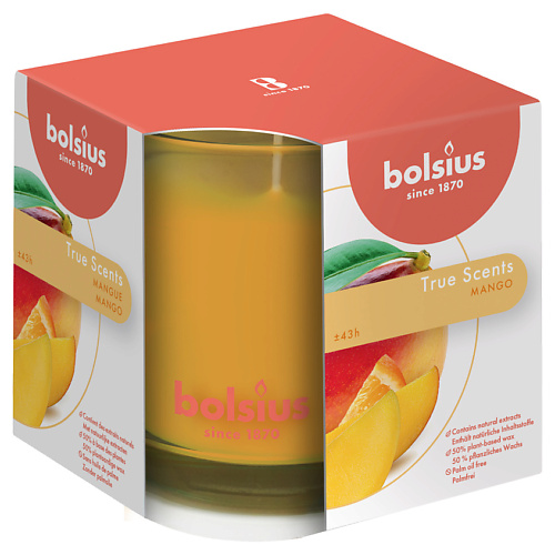 BOLSIUS Свеча в стекле арома True scents манго 798, Свеча в стекле арома True scents манго
BOLSIUS Свеча в стекле арома True scents манго 798, Свеча в стекле арома True scents манго