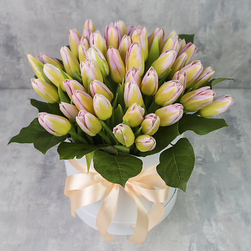 FLORPRO Коробка из 51 тюльпана «Нежно-розовые тюльпаны», Коробка из 51 тюльпана «Нежно-розовые тюльпаны»
FLORPRO Коробка из 51 тюльпана «Нежно-розовые тюльпаны», Коробка из 51 тюльпана «Нежно-розовые тюльпаны»