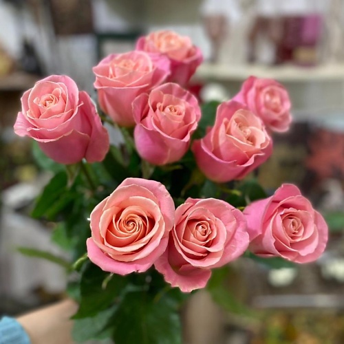 ЦВЕТЫ ДЛЯ ВАС Букет из 9 нежно персиковых роз (Эквадор) 60 см, Букет из 9 нежно персиковых роз (Эквадор) 60 см
ЦВЕТЫ ДЛЯ ВАС Букет из 9 нежно персиковых роз (Эквадор) 60 см, Букет из 9 нежно персиковых роз (Эквадор) 60 см