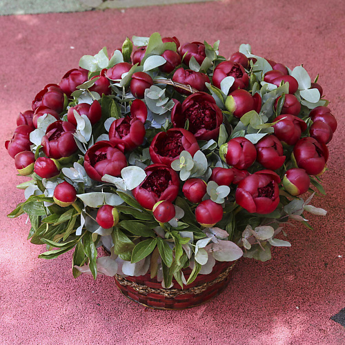 FLORPRO 51 красный пион с эвкалиптом в корзине, 51 красный пион с эвкалиптом в корзине
FLORPRO 51 красный пион с эвкалиптом в корзине, 51 красный пион с эвкалиптом в корзине