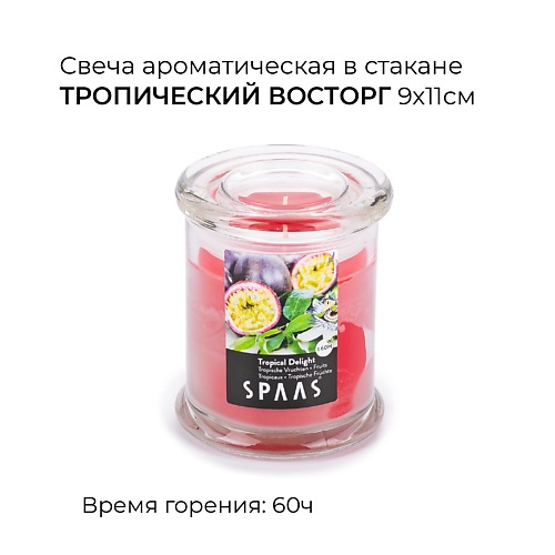 SPAAS Свеча ароматическая в стакане Тропический восторг 1, Свеча ароматическая в стакане Тропический восторг
SPAAS Свеча ароматическая в стакане Тропический восторг 1, Свеча ароматическая в стакане Тропический восторг
