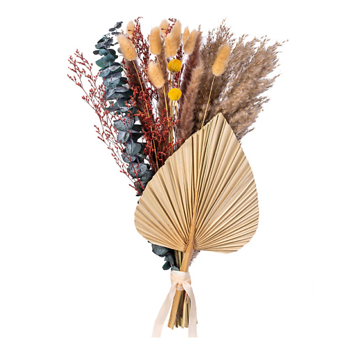 MANDARIN DECOR Букет из сухоцветов декоративные цветы набор для декора, Букет из сухоцветов декоративные цветы набор для декора
MANDARIN DECOR Букет из сухоцветов декоративные цветы набор для декора, Букет из сухоцветов декоративные цветы набор для декора