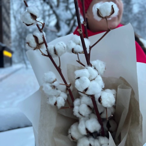 LE BOUQUET Интерьерный букет из натурального хлопка, Интерьерный букет из натурального хлопка
LE BOUQUET Интерьерный букет из натурального хлопка, Интерьерный букет из натурального хлопка