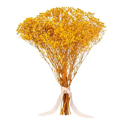 MANDARIN DECOR Букет из сухоцветов декоративные цветы набор для декора, Букет из сухоцветов декоративные цветы набор для декора
MANDARIN DECOR Букет из сухоцветов декоративные цветы набор для декора, Букет из сухоцветов декоративные цветы набор для декора