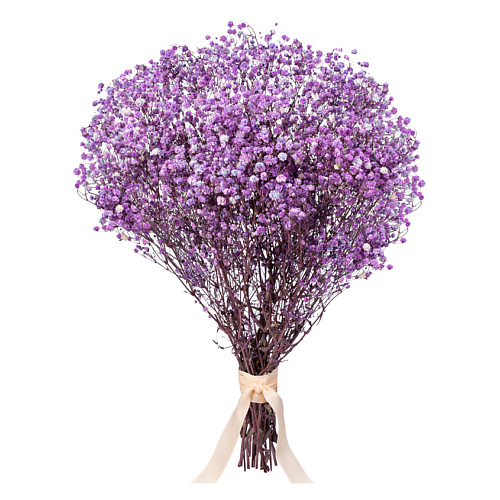 MANDARIN DECOR Букет из сухоцветов гипсофила, декоративные цветы, Букет из сухоцветов гипсофила, декоративные цветы
MANDARIN DECOR Букет из сухоцветов гипсофила, декоративные цветы, Букет из сухоцветов гипсофила, декоративные цветы