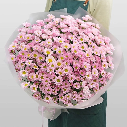 STUDIO FLORISTIC Букет из Хризантемы Сантини «Очарование», Букет из Хризантемы Сантини «Очарование»
STUDIO FLORISTIC Букет из Хризантемы Сантини «Очарование», Букет из Хризантемы Сантини «Очарование»