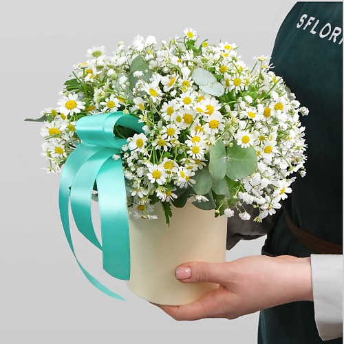 STUDIO FLORISTIC Композиция из Ромашки и Гипсофилы «Нежная Любовь», Композиция из Ромашки и Гипсофилы «Нежная Любовь»
STUDIO FLORISTIC Композиция из Ромашки и Гипсофилы «Нежная Любовь», Композиция из Ромашки и Гипсофилы «Нежная Любовь»