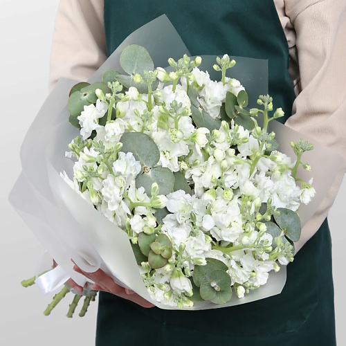 STUDIO FLORISTIC Букет кустовой Маттиолы «Лунная дымка», Букет кустовой Маттиолы «Лунная дымка»
STUDIO FLORISTIC Букет кустовой Маттиолы «Лунная дымка», Букет кустовой Маттиолы «Лунная дымка»