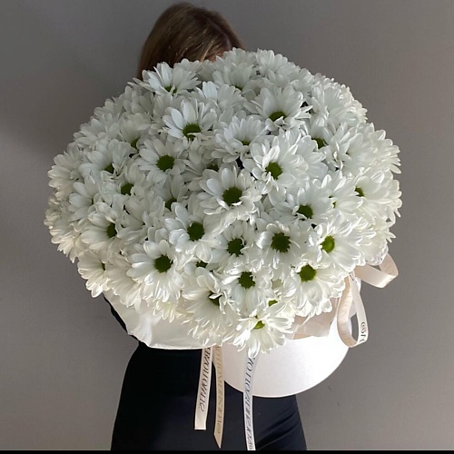 VLSHBN FLOWERS STATE Композиция в шляпной коробке из кустовой хризантемы, Композиция в шляпной коробке из кустовой хризантемы
VLSHBN FLOWERS STATE Композиция в шляпной коробке из кустовой хризантемы, Композиция в шляпной коробке из кустовой хризантемы