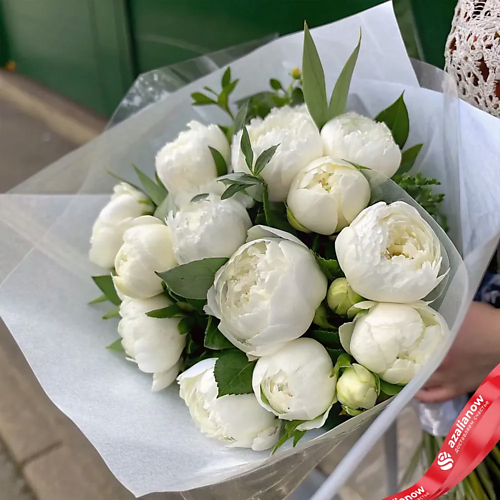 AZALIANOW ЦВЕТЫ. ПОДАРКИ. ДЕКОР Букет из 15 белых пионов в пленке, Букет из 15 белых пионов в пленке
AZALIANOW ЦВЕТЫ. ПОДАРКИ. ДЕКОР Букет из 15 белых пионов в пленке, Букет из 15 белых пионов в пленке