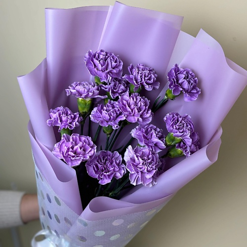 ПЛАНЕТА ЦВЕТОВ ТВОЯ ПЛАНЕТА Лунный свет, Лунный свет
ПЛАНЕТА ЦВЕТОВ ТВОЯ ПЛАНЕТА Лунный свет, Лунный свет