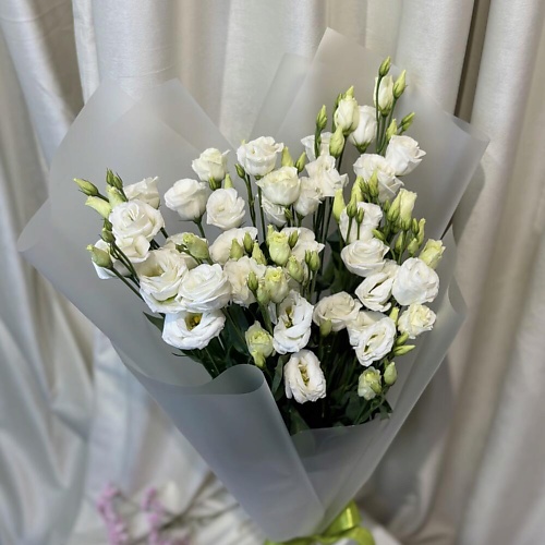 ДАРИ ЦВЕТЫ Букет из белой эустомы, Букет из белой эустомы
ДАРИ ЦВЕТЫ Букет из белой эустомы, Букет из белой эустомы