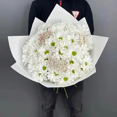 PINKBUKET Букет "Сайл" кустовая ромашковая хризантема, Букет "Сайл" кустовая ромашковая хризантема
PINKBUKET Букет "Сайл" кустовая ромашковая хризантема, Букет "Сайл" кустовая ромашковая хризантема