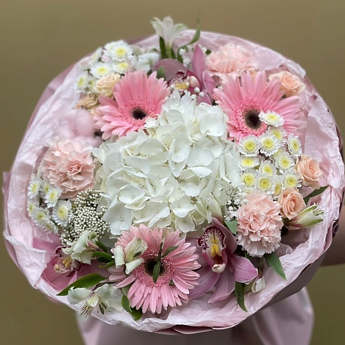 ПЛАНЕТА ЦВЕТОВ ТВОЯ ПЛАНЕТА Андромеда, Андромеда
ПЛАНЕТА ЦВЕТОВ ТВОЯ ПЛАНЕТА Андромеда, Андромеда