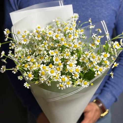 ДАРИ ЦВЕТЫ Букет из 7 полевых ромашек, Букет из 7 полевых ромашек
ДАРИ ЦВЕТЫ Букет из 7 полевых ромашек, Букет из 7 полевых ромашек