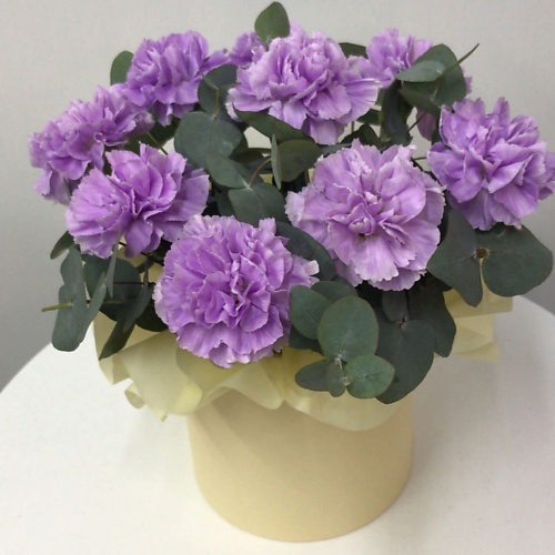 ПЛАНЕТА ЦВЕТОВ ТВОЯ ПЛАНЕТА Элегия, Элегия
ПЛАНЕТА ЦВЕТОВ ТВОЯ ПЛАНЕТА Элегия, Элегия