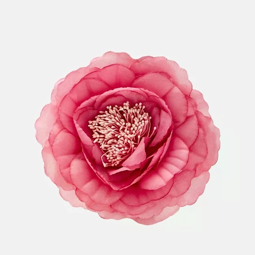 NEW LOOK NL Аксессуар, Аксессуар
NEW LOOK NL Аксессуар, Аксессуар