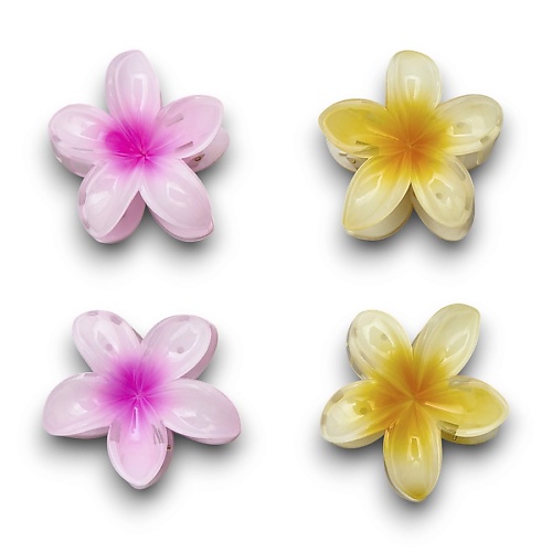 ZIKOLKI STORE Заколка крабик аксессуар для волос цветок подарочный набор крабов, Заколка крабик аксессуар для волос цветок подарочный набор крабов
ZIKOLKI STORE Заколка крабик аксессуар для волос цветок подарочный набор крабов, Заколка крабик аксессуар для волос цветок подарочный набор крабов