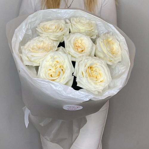 FLEUR DE FEE ЦВЕТОЧНАЯ ФЕЯ Букет 7 белых роз Эквадор, Букет 7 белых роз Эквадор
FLEUR DE FEE ЦВЕТОЧНАЯ ФЕЯ Букет 7 белых роз Эквадор, Букет 7 белых роз Эквадор