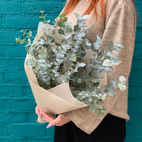 ЦВЕТЫ МИШКИ Букет из 5 веток эвкалипта, Букет из 5 веток эвкалипта
ЦВЕТЫ МИШКИ Букет из 5 веток эвкалипта, Букет из 5 веток эвкалипта