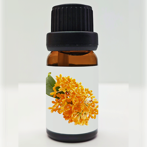 AIRISLON Эфирное водорастворимое масло Османтуса 10, Эфирное водорастворимое масло Османтуса
AIRISLON Эфирное водорастворимое масло Османтуса 10, Эфирное водорастворимое масло Османтуса