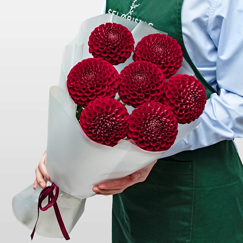 STUDIO FLORISTIC Букет из Георгин «Гранатовая роскошь», Букет из Георгин «Гранатовая роскошь»
STUDIO FLORISTIC Букет из Георгин «Гранатовая роскошь», Букет из Георгин «Гранатовая роскошь»