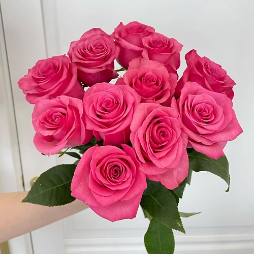 FLOWERS DE LUXE БУТИК ЦВЕТОВ И ПОДАРКОВ Розовая Роза Эквадор премиум, Розовая Роза Эквадор премиум
FLOWERS DE LUXE БУТИК ЦВЕТОВ И ПОДАРКОВ Розовая Роза Эквадор премиум, Розовая Роза Эквадор премиум