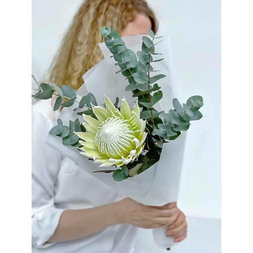 MAMOKA FLOWER STUDIO Монобукет с протеей и эвкалиптом. Букет с экзотичным цветком, Монобукет с протеей и эвкалиптом. Букет с экзотичным цветком
MAMOKA FLOWER STUDIO Монобукет с протеей и эвкалиптом. Букет с экзотичным цветком, Монобукет с протеей и эвкалиптом. Букет с экзотичным цветком