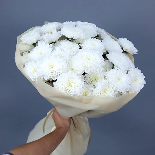 ШАРЛАНДИЯ ГРИНЛАНДИЯ Букет из 7 кустовых хризантем, Букет из 7 кустовых хризантем
ШАРЛАНДИЯ ГРИНЛАНДИЯ Букет из 7 кустовых хризантем, Букет из 7 кустовых хризантем