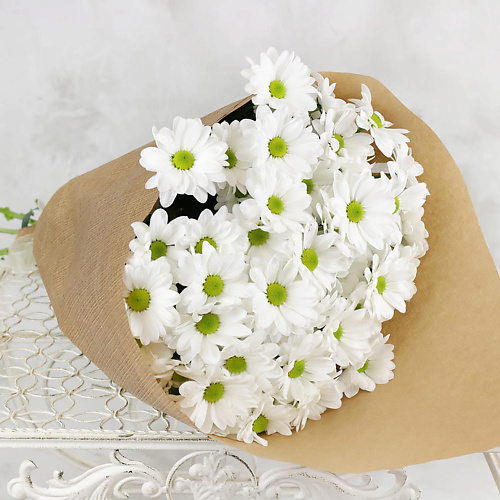 БУКЕТ МАРКЕТ ДАРИТЕ С УДОВОЛЬСТВИЕМ Букет из 9 кустовых хризантем в крафте, Букет из 9 кустовых хризантем в крафте
БУКЕТ МАРКЕТ ДАРИТЕ С УДОВОЛЬСТВИЕМ Букет из 9 кустовых хризантем в крафте, Букет из 9 кустовых хризантем в крафте