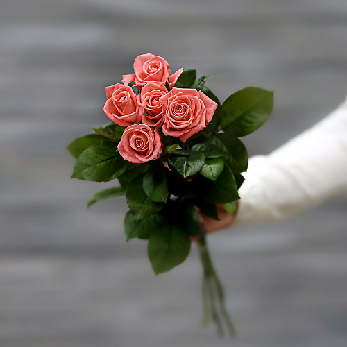 БУКЕТ МАРКЕТ ДАРИТЕ С УДОВОЛЬСТВИЕМ Букет из 5 коралловых роз (Россия) с лентой 60 см, Букет из 5 коралловых роз (Россия) с лентой 60 см
БУКЕТ МАРКЕТ ДАРИТЕ С УДОВОЛЬСТВИЕМ Букет из 5 коралловых роз (Россия) с лентой 60 см, Букет из 5 коралловых роз (Россия) с лентой 60 см