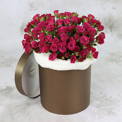 БУКЕТ МАРКЕТ ДАРИТЕ С УДОВОЛЬСТВИЕМ 25 малиновых кустовых роз в шляпной коробке, 25 малиновых кустовых роз в шляпной коробке
БУКЕТ МАРКЕТ ДАРИТЕ С УДОВОЛЬСТВИЕМ 25 малиновых кустовых роз в шляпной коробке, 25 малиновых кустовых роз в шляпной коробке