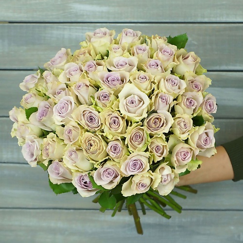 БУКЕТ МАРКЕТ ДАРИТЕ С УДОВОЛЬСТВИЕМ 65 сиреневых роз с лентой Кения 40 см., 65 сиреневых роз с лентой Кения 40 см.
БУКЕТ МАРКЕТ ДАРИТЕ С УДОВОЛЬСТВИЕМ 65 сиреневых роз с лентой Кения 40 см., 65 сиреневых роз с лентой Кения 40 см.