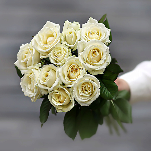 БУКЕТ МАРКЕТ ДАРИТЕ С УДОВОЛЬСТВИЕМ Букет из 11 белых роз (Россия) с лентой 60 см, Букет из 11 белых роз (Россия) с лентой 60 см
БУКЕТ МАРКЕТ ДАРИТЕ С УДОВОЛЬСТВИЕМ Букет из 11 белых роз (Россия) с лентой 60 см, Букет из 11 белых роз (Россия) с лентой 60 см