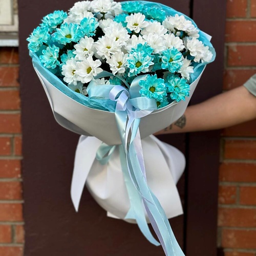 FLOWER DANCE Кустовая хризантема, Кустовая хризантема
FLOWER DANCE Кустовая хризантема, Кустовая хризантема