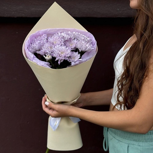 FLOWER DANCE Хризантема, Хризантема
FLOWER DANCE Хризантема, Хризантема