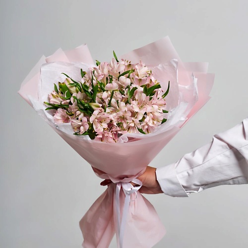 FLOWER DANCE Свежая альстромерия, Свежая альстромерия
FLOWER DANCE Свежая альстромерия, Свежая альстромерия